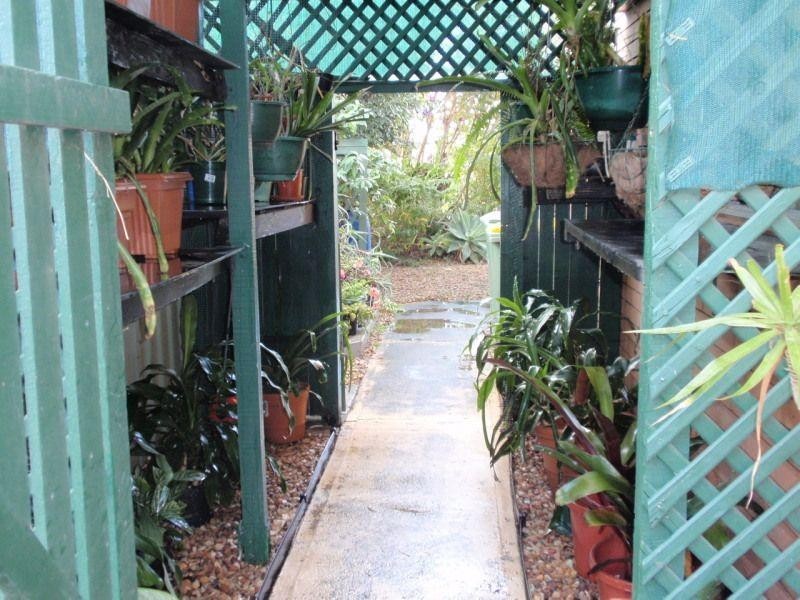 3 Ibis Court, Kallangur QLD 4503