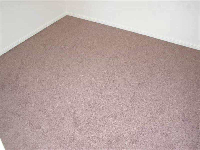 17 Carter Court, Deception Bay QLD 4508