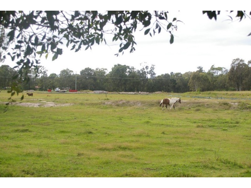 32 Whitlock Street, Rothwell QLD 4022