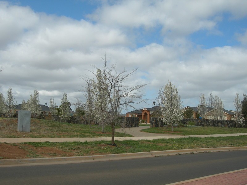 LOT 669 Citronella Circuit, Melton VIC 3337