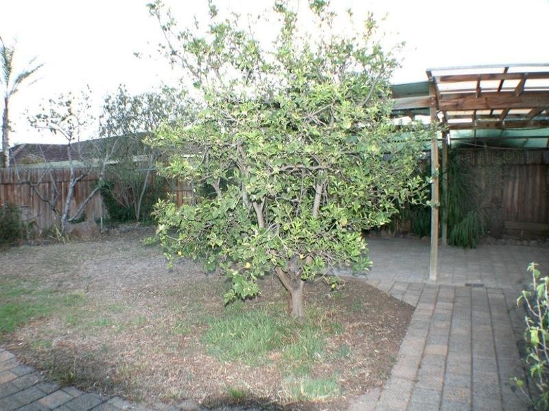 5 Christina Crescent, Kurunjang VIC 3337