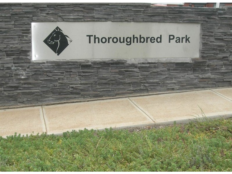 43 Dalray Crescent, Melton VIC 3337