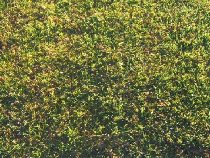 Lot 5082 Ranfurlie Circuit, Melton VIC 3337