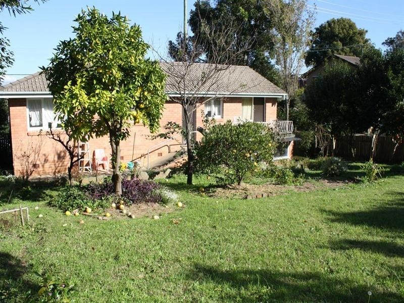 141 Darcy Road, Wentworthville NSW 2145