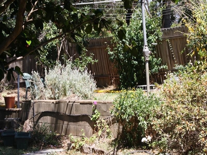 20 Thane Street, Wentworthville NSW 2145