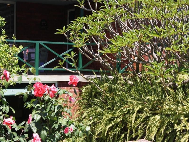 20 Thane Street, Wentworthville NSW 2145