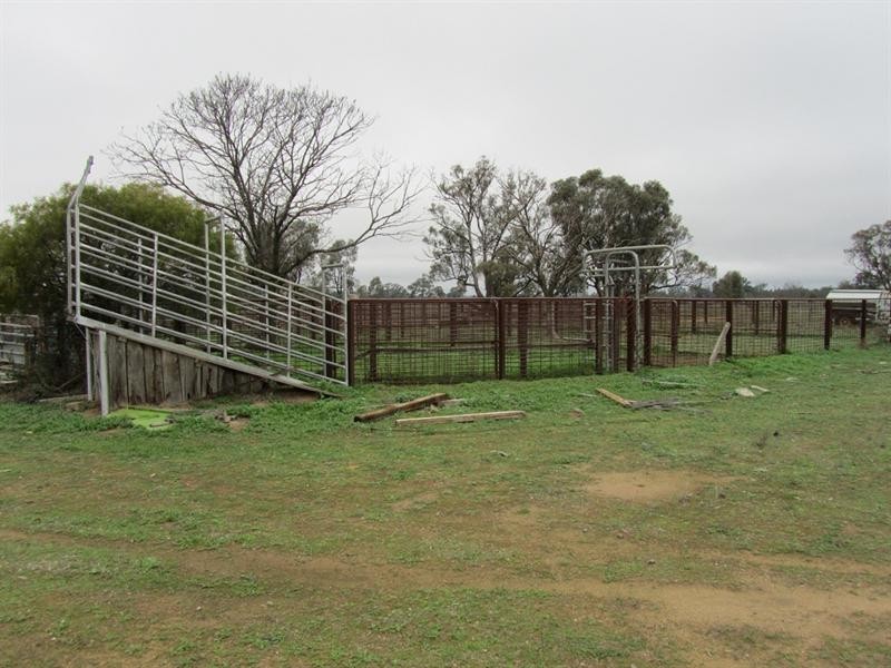 0 “Lytton”, Barham NSW 2732