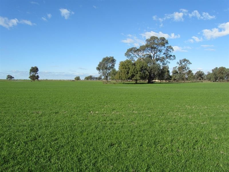 0 “Lytton”, Barham NSW 2732