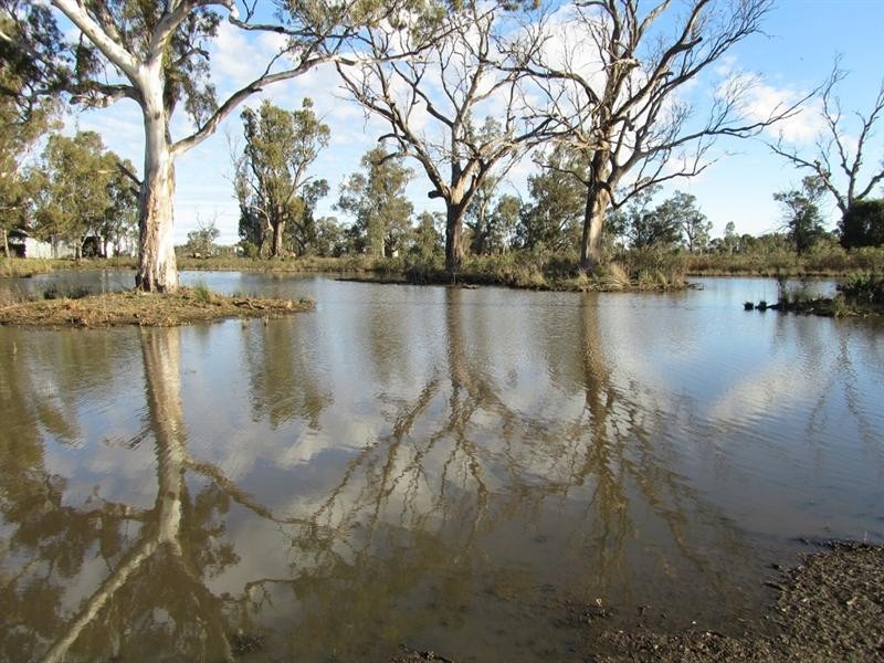 0 “Lytton”, Barham NSW 2732