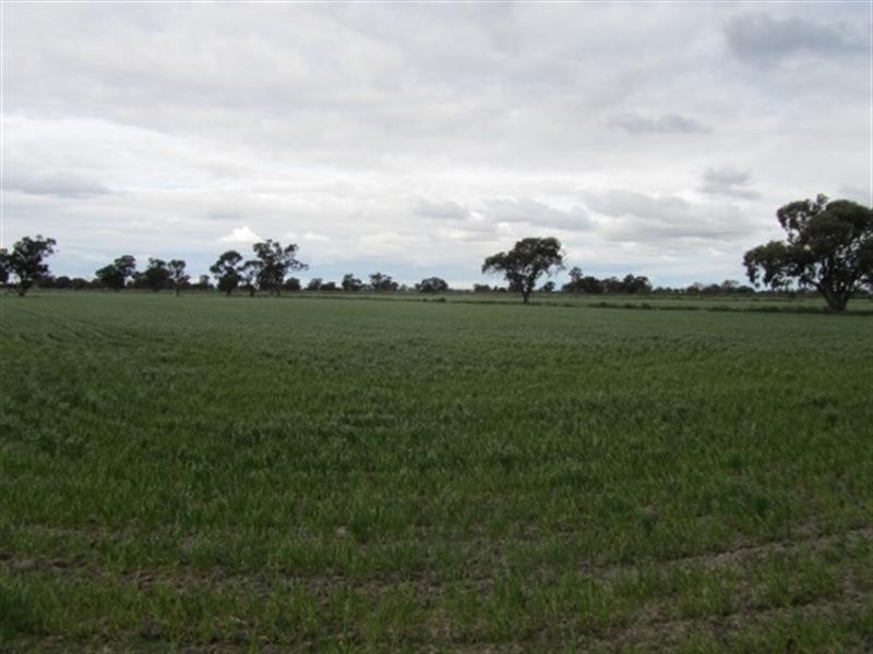 Lot 2 Barham and Wakool Road, Wakool NSW 2710