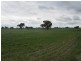 Lot 2 Barham and Wakool Road, Wakool NSW 2710