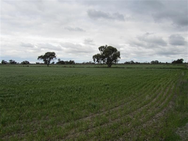 Lot 2 Barham and Wakool Road, Wakool NSW 2710