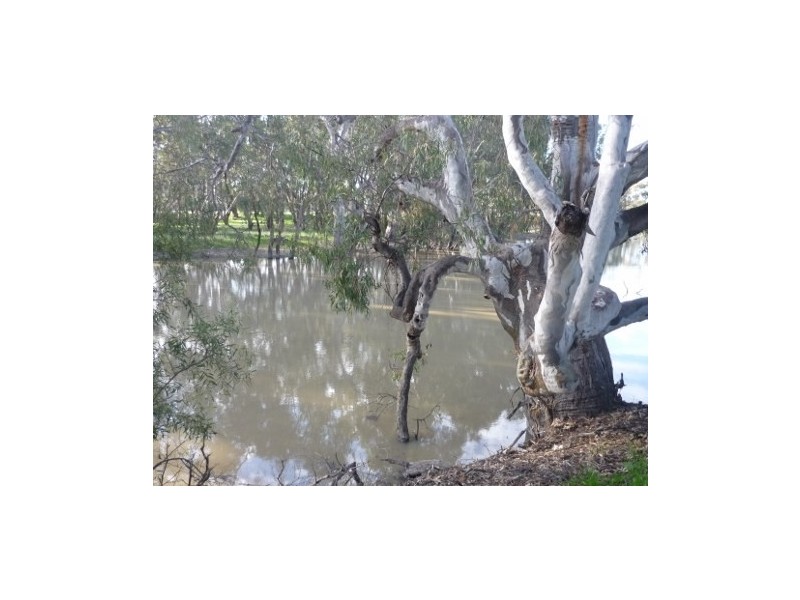Lot 30 Billabong Creek Drive, Conargo NSW 2710