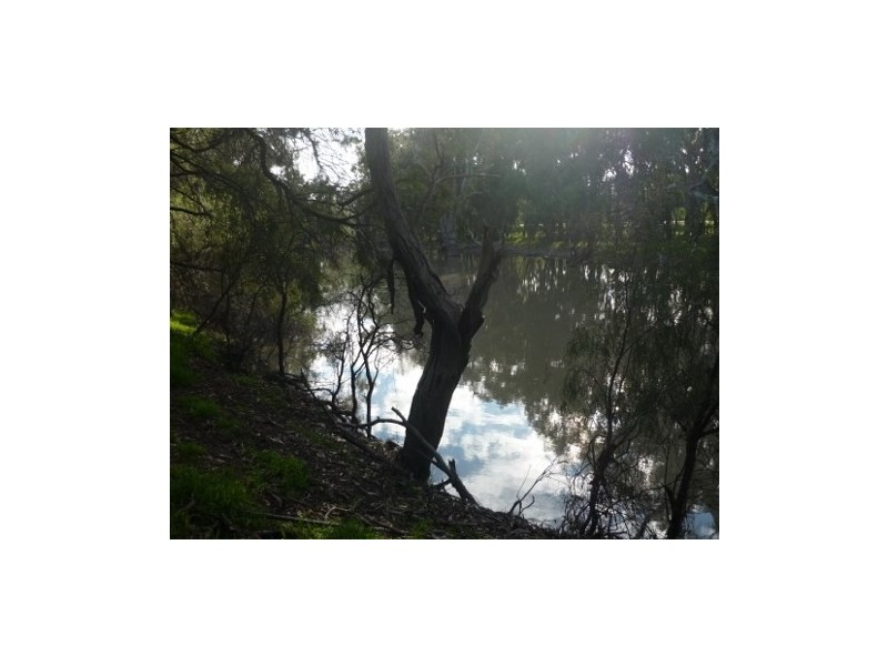 Lot 30 Billabong Creek Drive, Conargo NSW 2710