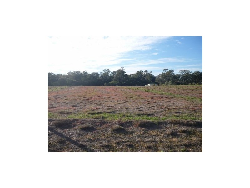 Lot 30 Billabong Creek Drive, Conargo NSW 2710