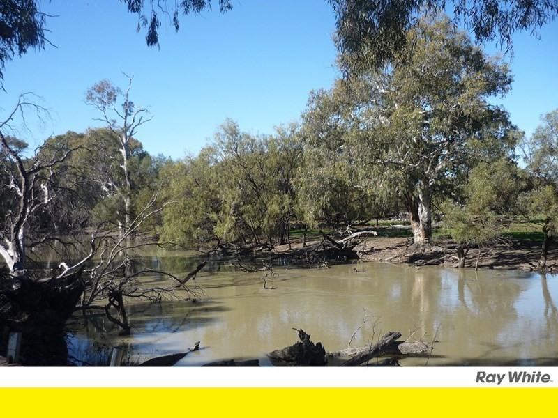 Lot 5 Echidna Way, Conargo NSW 2710