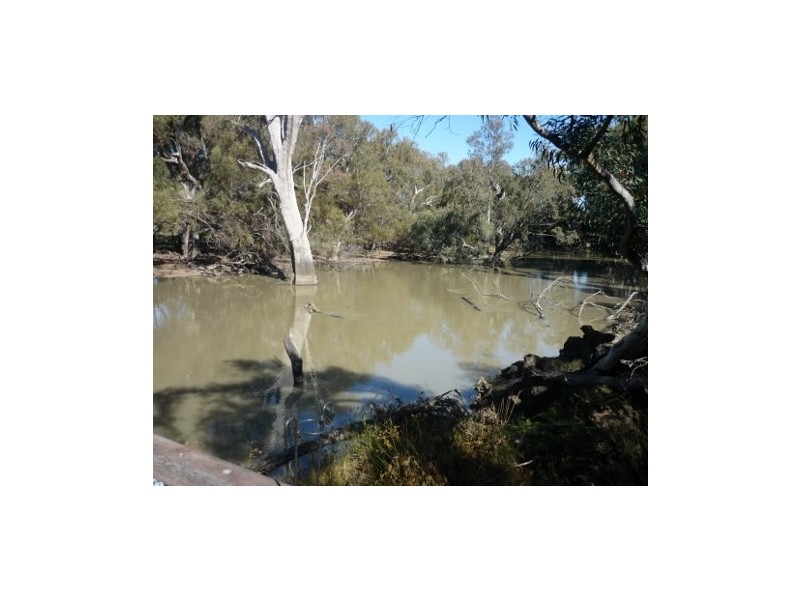 Lot 5 Echidna Way, Conargo NSW 2710
