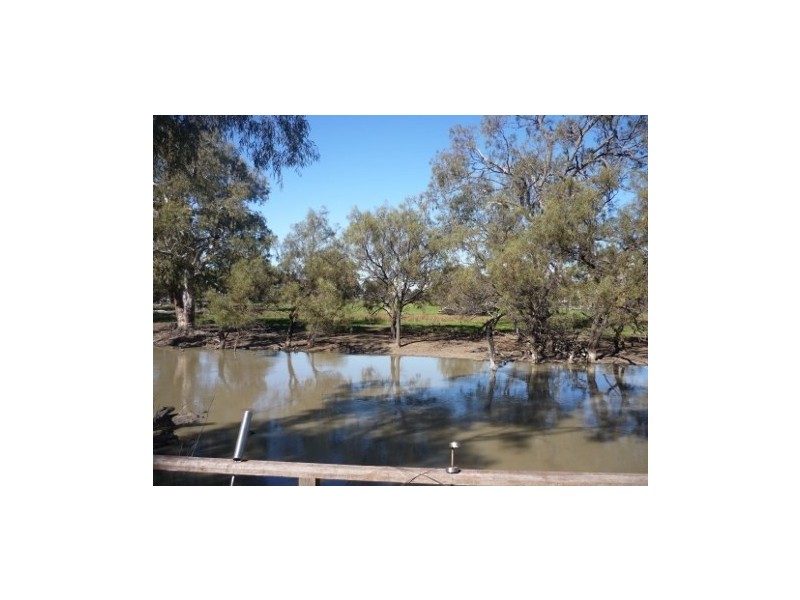 Lot 5 Echidna Way, Conargo NSW 2710