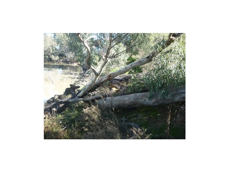 Lot 5 Echidna Way, Conargo NSW 2710