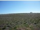 Lot 5 Echidna Way, Conargo NSW 2710