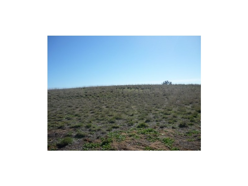 Lot 5 Echidna Way, Conargo NSW 2710