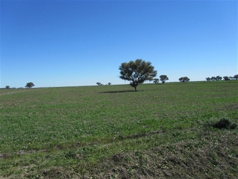 00 Wanganella Moulamein Road, Moulamein NSW 2733