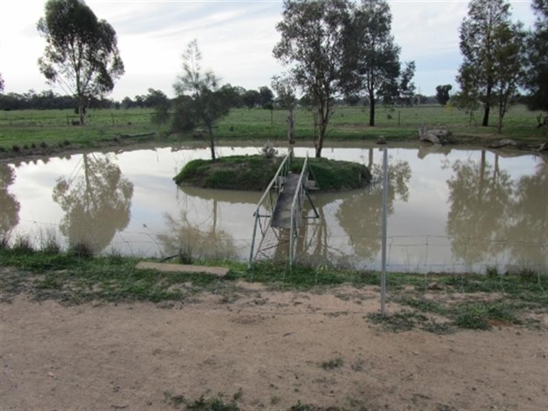 144 Racecourse Road, Deniliquin NSW 2710