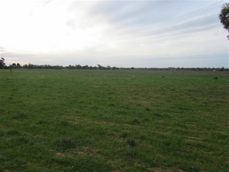 144 Racecourse Road, Deniliquin NSW 2710