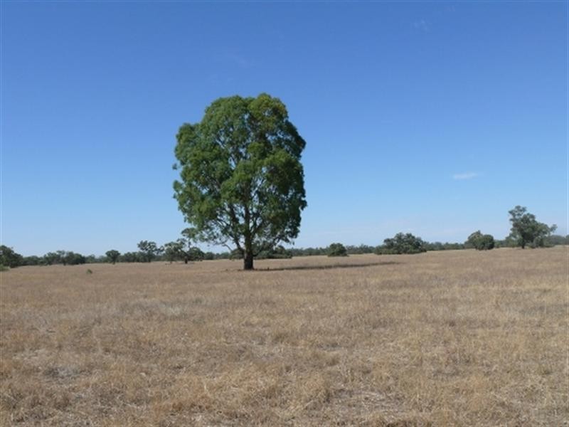 1 Brassi Road, Deniliquin NSW 2710