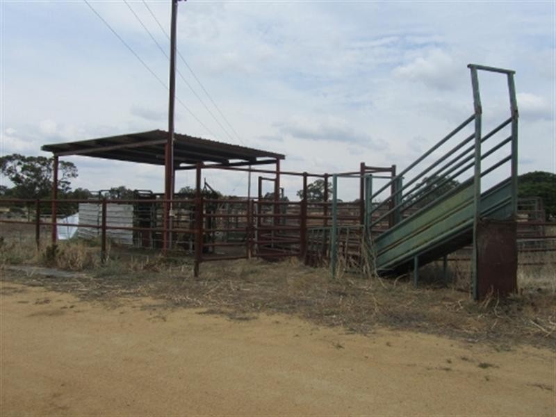 1 Brassi Road, Deniliquin NSW 2710