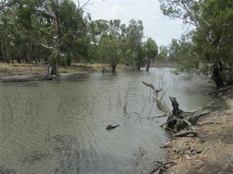 1 Brassi Road, Deniliquin NSW 2710