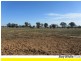 00 Dahwilly Lane, Deniliquin NSW 2710