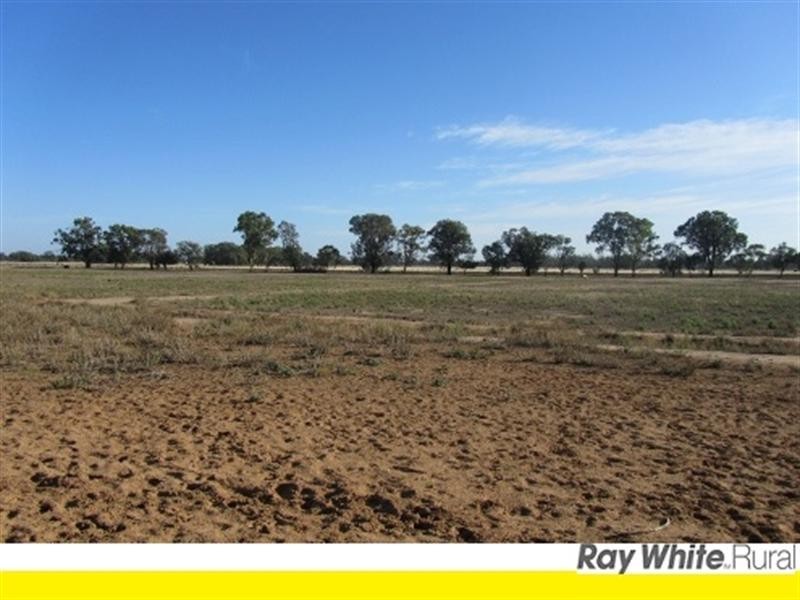 00 Dahwilly Lane, Deniliquin NSW 2710