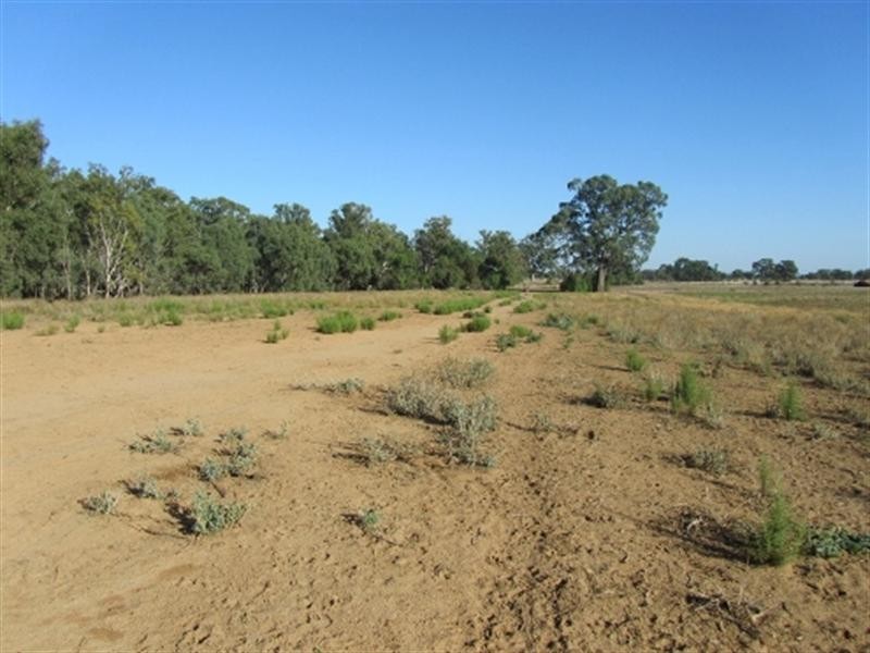 00 Dahwilly Lane, Deniliquin NSW 2710