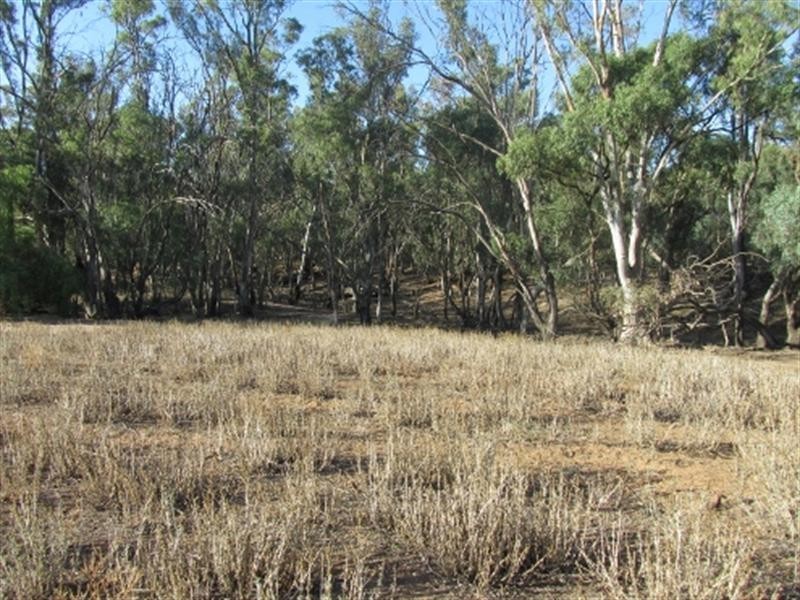 00 Dahwilly Lane, Deniliquin NSW 2710