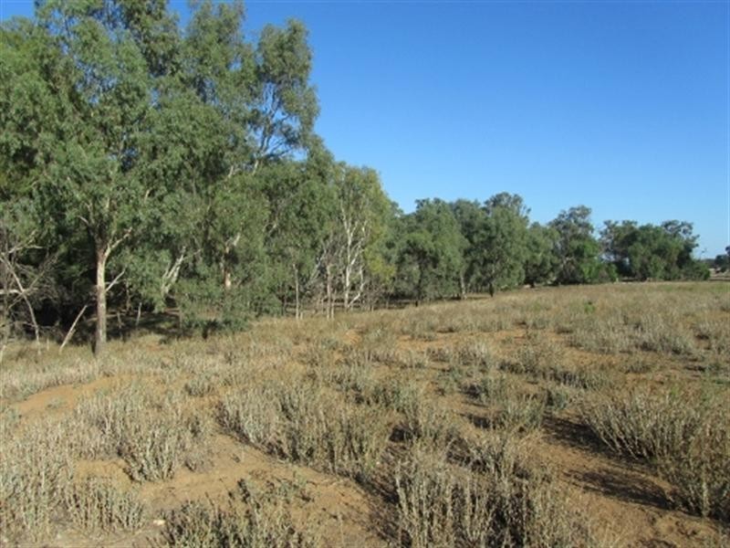 00 Dahwilly Lane, Deniliquin NSW 2710