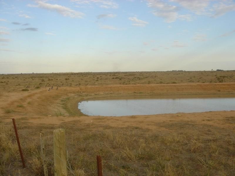Lot 1 & 2 Barham Road, Deniliquin NSW 2710