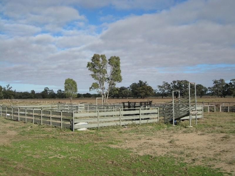 1 Cal Col Road, Deniliquin NSW 2710