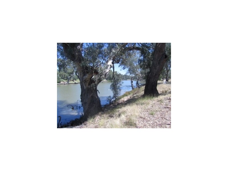 276 Boggy Creek Road, Deniliquin NSW 2710