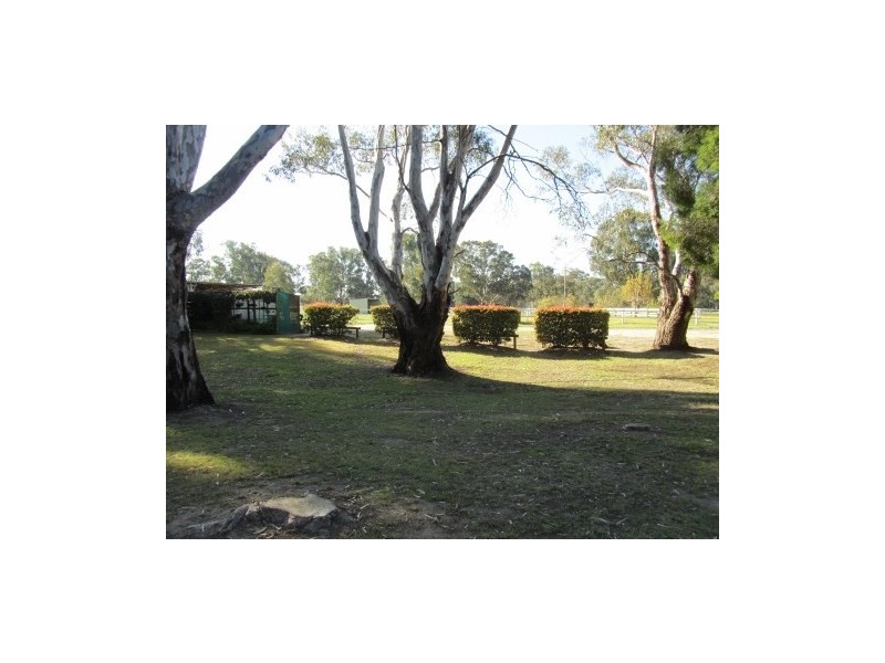 276 Boggy Creek Road, Deniliquin NSW 2710
