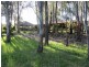 276 Boggy Creek Road, Deniliquin NSW 2710