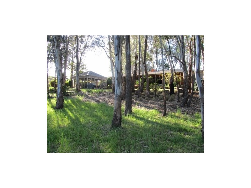 276 Boggy Creek Road, Deniliquin NSW 2710