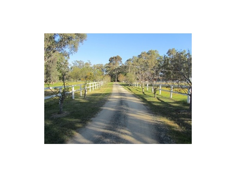276 Boggy Creek Road, Deniliquin NSW 2710