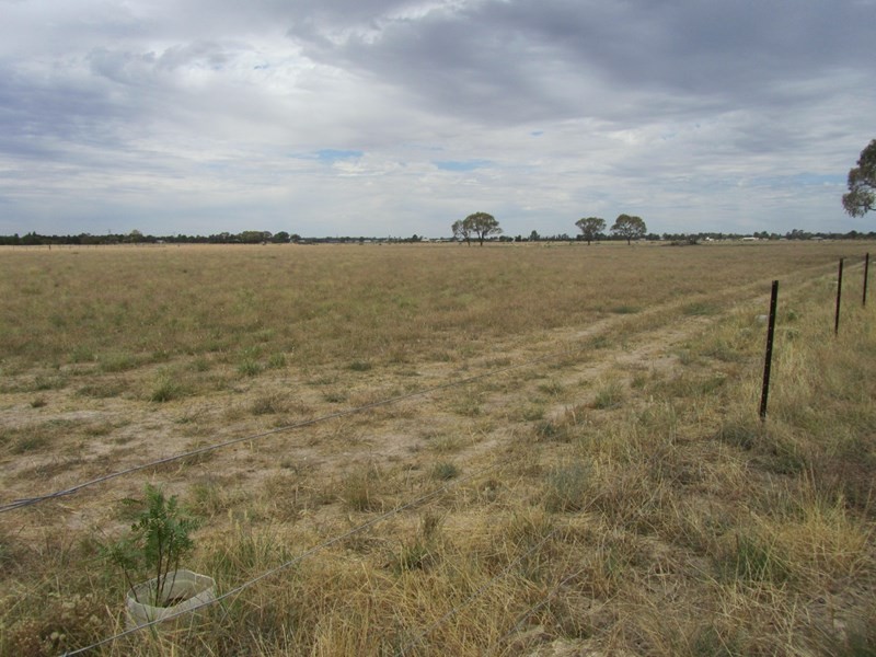 Lot 19 Bradley’s Lane, Deniliquin NSW 2710