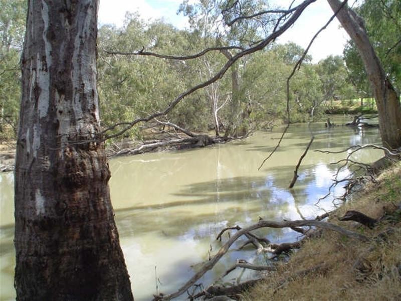 Lot 5 Billabong Creek Estate, Conargo NSW 2710