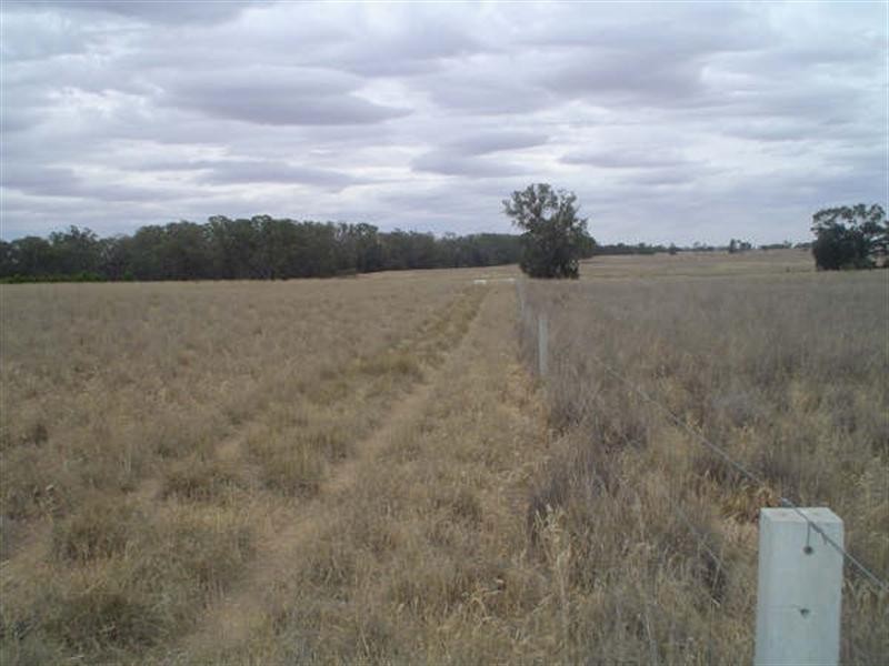 Lot 5 Billabong Creek Estate, Conargo NSW 2710