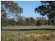 Deniliquin NSW 2710