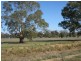 Deniliquin NSW 2710