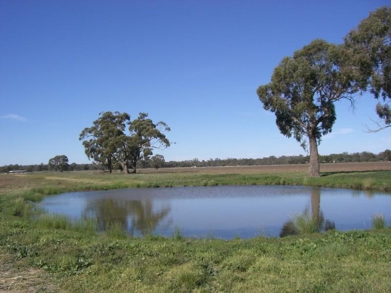 279 Dahwilly Lane, Deniliquin NSW 2710