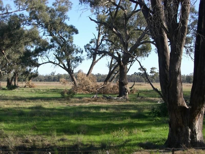 279 Dahwilly Lane, Deniliquin NSW 2710